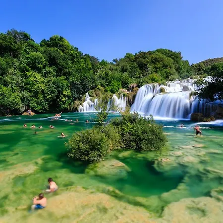 Flora * Brodarica (Sibenik-Knin)
